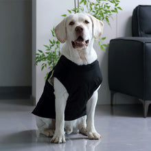 Load image into Gallery viewer, 1.5-32.5kg Winter Dog Vest Coat Warm Waterproof Vest Golden Retriever Big Dog Clothes Outfit for Small Medium Large Dogs
