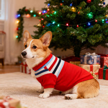 Load image into Gallery viewer, 1.5-40kg Dog Clothes Winter Warm Puppy Cats Sweater For Small Medeium Large Dogs Knit Sweater Pug Chihuahua Coat Bulldog Pullover Pet Clothing
