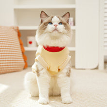 Load image into Gallery viewer, 5.5-27.5kg Autumn &amp; Winter Pet Hooded Sweatshirt Dog Clothes Winter Cat Coat Pet Clothes For Medium and Large Dogs
