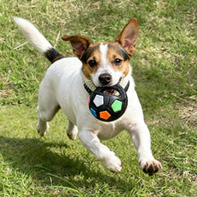Load image into Gallery viewer, Pet Football Toy Tough Interactive Squeaky Ball Toy for Dogs Durable Chew Toy for Aggressive Chewers Pet Training &amp; Fetch Play
