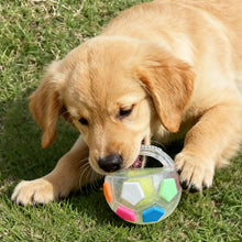 Load image into Gallery viewer, Pet Football Toy Tough Interactive Squeaky Ball Toy for Dogs Durable Chew Toy for Aggressive Chewers Pet Training &amp; Fetch Play
