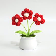 Load image into Gallery viewer, Hand-Knitted Flowers Handmade Crocheted Flowers Bouquets Desktop Ornament Home Decoration Valentine's Day Gift
