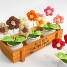 Load image into Gallery viewer, Hand-Knitted Flowers Handmade Crocheted Flowers Bouquets Desktop Ornament Home Decoration Valentine's Day Gift

