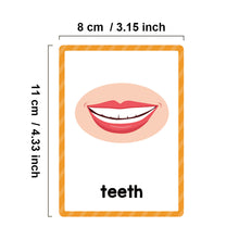 Load image into Gallery viewer, Interactive Double Side Montessori English Vocabulary Flashcards Kids Early Education Kindergarten Teacher Teaching Aids Classroom Supplies
