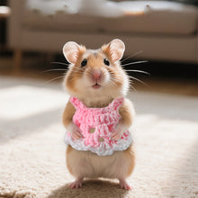 Load image into Gallery viewer, Four Seasons Little Pet Golden Hamster Clothes Mouse Mini Woolen Knitted Skirt Costume Pet Vest
