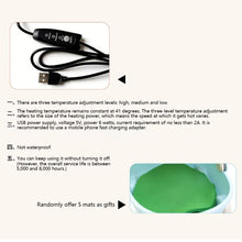 Load image into Gallery viewer, USB Heating Insulation Box Parrot Bird Little Pet Heating Constant Temperature Box Outdoor Portable Birdcage
