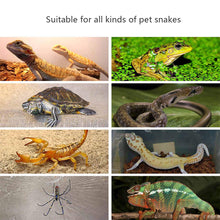 Load image into Gallery viewer, American Standard 5-45W Reptiles Heat Mat Climbing Pet Heating Warm Pads Adjustable Temperature Pet Reptile Thermal Insulation Equipment
