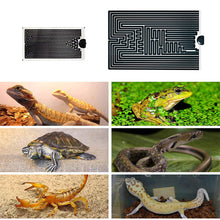 Load image into Gallery viewer, British Standard 7W/40W Reptiles Heat Mat Climbing Pet Heating Warm Pads Adjustable Temperature Pet Reptile Thermal Insulation Equipment
