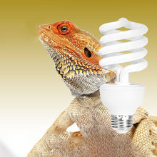 Load image into Gallery viewer, 5.010.0 UVB Reptile Lamp 13W 26W UVB Rays Energy Heating Light Calcium-enriched Bulb Heating Lamps Turtle Lizard Snake
