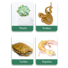 Load image into Gallery viewer, 5.010.0 UVB Reptile Lamp 13W 26W UVB Rays Energy Heating Light Calcium-enriched Bulb Heating Lamps Turtle Lizard Snake
