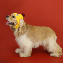 Load image into Gallery viewer, Knitted Pet Hat Cap Dog Cat Winter Scarf Cap Suit Funny Warm Pet Beanie Clothing Large dog Labrador Golden Retriever Cap Winter Pet Accessory
