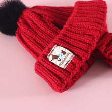 Load image into Gallery viewer, Knitted Pet Hat Cap Dog Cat Winter Scarf Cap Suit Funny Warm Pet Beanie Clothing Large dog Labrador Golden Retriever Cap Winter Pet Accessory
