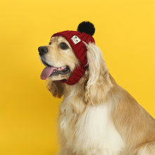 Load image into Gallery viewer, Knitted Pet Hat Cap Dog Cat Winter Scarf Cap Suit Funny Warm Pet Beanie Clothing Large dog Labrador Golden Retriever Cap Winter Pet Accessory
