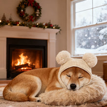 Load image into Gallery viewer, Knitted Warm Pet Hat For Medium Large Dogs Noise Reduction Calming Year Round Photography Headwear
