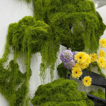 Load image into Gallery viewer, Artificial Moss Mat Fake Grass for Terrarium Decoration Miniature Landscape Turf for DIY Craft Fairy Garden Supply Bonsai Pot Cover
