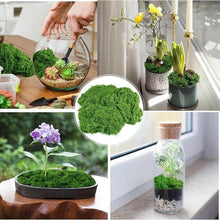 Load image into Gallery viewer, Artificial Moss Mat Fake Grass for Terrarium Decoration Miniature Landscape Turf for DIY Craft Fairy Garden Supply Bonsai Pot Cover
