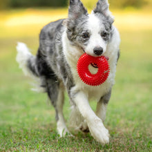 Load image into Gallery viewer, TPR Spiky Ring Dog Toy Squeaky Chew Toy for Large Breed Dogs Durable Teeth Cleaning Massage Toy Heavy Duty Interactive Puppy Biting Ring
