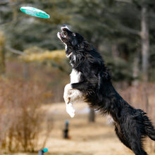 Load image into Gallery viewer, Dog Flying Disc 18cm 22cm Floating Bite Resistant Toy Waterproof Soft for Medium Large Dogs Outdoor Fetch Training Beach Pool Toy Pet Agility Equipment
