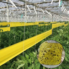 Load image into Gallery viewer, 5M Yellow Double Sided Self Adhesive Insect Proof Barrier Tape Garden Orchard Ant Moth Outdoor Pest Control Trap

