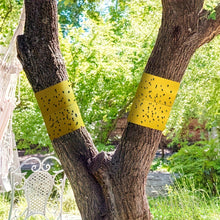 Load image into Gallery viewer, 5M Yellow Double Sided Self Adhesive Insect Proof Barrier Tape Garden Orchard Ant Moth Outdoor Pest Control Trap
