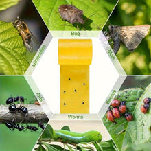 Load image into Gallery viewer, 5M Yellow Double Sided Self Adhesive Insect Proof Barrier Tape Garden Orchard Ant Moth Outdoor Pest Control Trap
