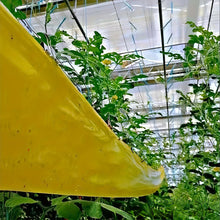 Load image into Gallery viewer, 5M Yellow Double Sided Self Adhesive Insect Proof Barrier Tape Garden Orchard Ant Moth Outdoor Pest Control Trap
