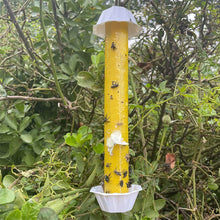 Load image into Gallery viewer, Yellow Portable Sticky Trap Rod Non Toxic Adhesive Strong Sticky Surface Insect Catcher Indoor Fly Pest Control
