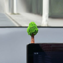Load image into Gallery viewer, Mini Money Tree Car Interior Decorations Center Console Car Mounted Green Plant Accessories For Car Home Decoration
