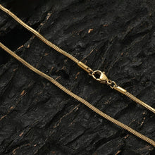 Load image into Gallery viewer, Titanium Steel Snake Chain Necklace Gold Silver Color Punk Hip Hop Long Neck Chain Fashion Jewelry Gift For Men Women
