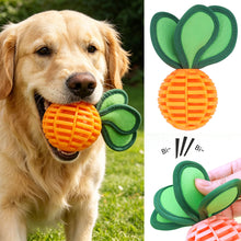Load image into Gallery viewer, TPR Dog Chew Toys Squeaker Rubber Radish Puppy Dental Cleaning for Medium small Dogs Pet Interactive Treat Dispensing Ball
