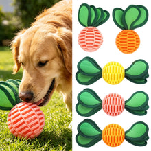 Load image into Gallery viewer, TPR Dog Chew Toys Squeaker Rubber Radish Puppy Dental Cleaning for Medium small Dogs Pet Interactive Treat Dispensing Ball
