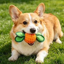 Load image into Gallery viewer, TPR Dog Chew Toys Squeaker Rubber Radish Puppy Dental Cleaning for Medium small Dogs Pet Interactive Treat Dispensing Ball
