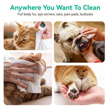 Load image into Gallery viewer, 80Pcs Pet Wipes Disposable 2-in-1 Cleaning Wipes for Dogs Cats Tear Stain Remover &amp; Butt Cleaning Non-Woven Deodorizing Grooming Wipes
