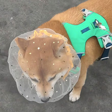Load image into Gallery viewer, Dog Mesh Muzzle Anti-Eating Anti-Licking Breathable Soft Face Cover for Small Medium Large Dogs Prevent Licking Wounds Grooming
