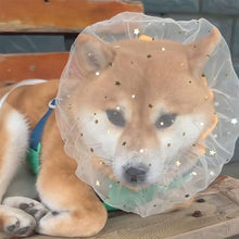 Load image into Gallery viewer, Dog Mesh Muzzle Anti-Eating Anti-Licking Breathable Soft Face Cover for Small Medium Large Dogs Prevent Licking Wounds Grooming
