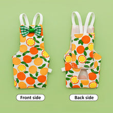 Load image into Gallery viewer, Parrot Diaper Flight Suit Diaper Clothes Parrot Pigeon Small Medium Large Pet Bird Budgerigar Sun Parakeet Cockatiel‌ Monk Parakeets

