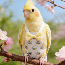 Load image into Gallery viewer, Parrot Diaper Flight Suit Diaper Clothes Small Parrot Pigeon Pet Bird Budgerigar Lovebird Pacific Parrots
