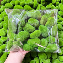 Load image into Gallery viewer, Artificial Moss Stone Rock Decor Fake Mossy Rock for Terrarium Fairy Garden Micro Landscape Bonsai Fish Tank Decoration
