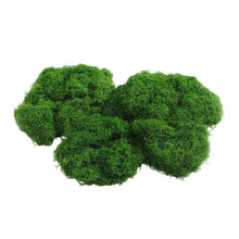 Load image into Gallery viewer, Artificial Moss Sheet Fake Moss Mat Green Grass for Potted Plant Decoration DIY Terrarium Micro Landscape Bonsai Garden Supplies
