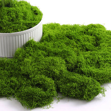 Load image into Gallery viewer, Artificial Moss Sheet Fake Moss Mat Green Grass for Potted Plant Decoration DIY Terrarium Micro Landscape Bonsai Garden Supplies
