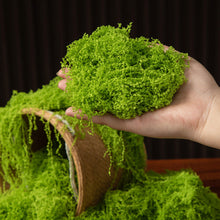 Load image into Gallery viewer, Artificial Moss Sheet Fake Moss Mat Green Grass for Potted Plant Decoration DIY Terrarium Micro Landscape Bonsai Garden Supplies
