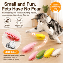 Load image into Gallery viewer, Electric Crawling Bug Interactive Cat Toy Moving Insect Toy with Random Path Pet Teaser for Indoor Bored Cats Kittens
