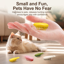 Load image into Gallery viewer, Electric Crawling Bug Interactive Cat Toy Moving Insect Toy with Random Path Pet Teaser for Indoor Bored Cats Kittens
