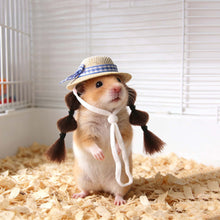 Load image into Gallery viewer, Small Pet Straw Hat with Braids Adjustable Cap for Hamster Budgie Cockatiel Cute Photo Prop Animal Costume for Creative Videos
