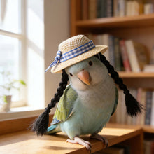 Load image into Gallery viewer, Small Pet Straw Hat with Braids Adjustable Cap for Hamster Budgie Cockatiel Cute Photo Prop Animal Costume for Creative Videos
