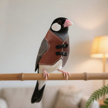 Load image into Gallery viewer, Adjustable Vintage Faux Leather Bird Vest Pet Parrot Coat for Daily Wear Bird Apparel Easy On/Off Bird Accessories

