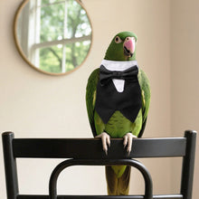 Load image into Gallery viewer, Black Formal Suit for Small Pet Bird with Bow Tie Soft Breathable Cotton Vest Outfit for Parrot Cockatiel Parakeet Wedding Christmas Party Costume for Birds
