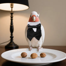 Load image into Gallery viewer, Black Formal Suit for Small Pet Bird with Bow Tie Soft Breathable Cotton Vest Outfit for Parrot Cockatiel Parakeet Wedding Christmas Party Costume for Birds

