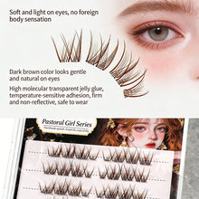 Load image into Gallery viewer, Natural Dark Brown Butterfly Glue Free False Eyelashes Makeup Grafting Segmented Simulation Novice False Eyelashes

