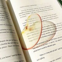 Load image into Gallery viewer, Creative Acrylic Translucent Fruit Bookmark High Aesthetic Refractive Color Page Marker Perfect Reading Accessory Gift
